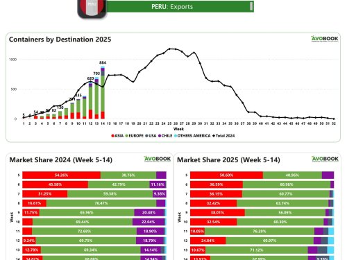 Perú acelera sus envíos de aguacate y Europa concentra el 68% del destino