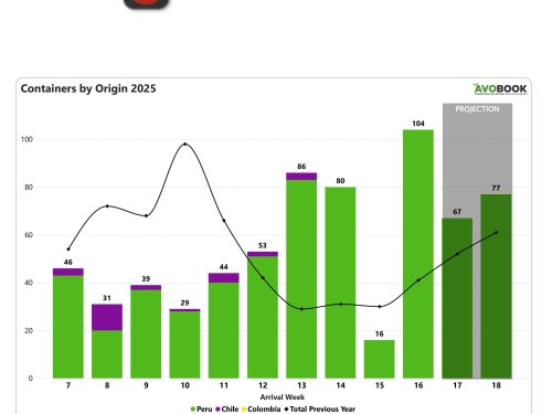 China recibe 104 contenedores de aguacates peruanos y el precio cae al nivel más bajo del año