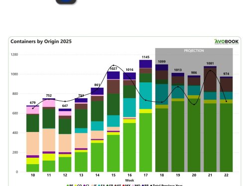 Perú lidera el mercado europeo de aguacate en una semana de máximos históricos de volumen