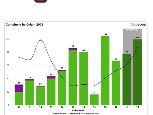 Disminuyen los envíos y precios del aguacate en el mercado chino en la cuarta semana consecutiva de bajas