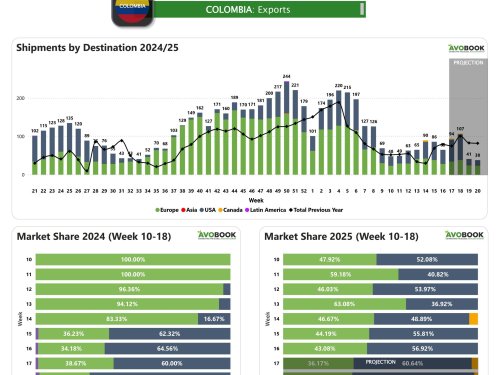 Colombia reduce 24% sus exportaciones de aguacate en la semana 17 y prioriza el mercado de EE.UU.