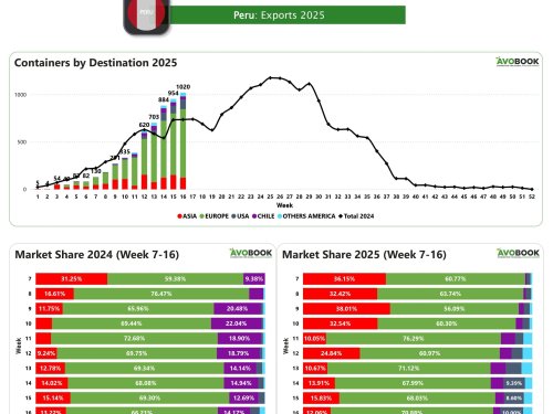 Perú supera los 1.000 contenedores semanales de aguacate y consolida su dominio en Europa