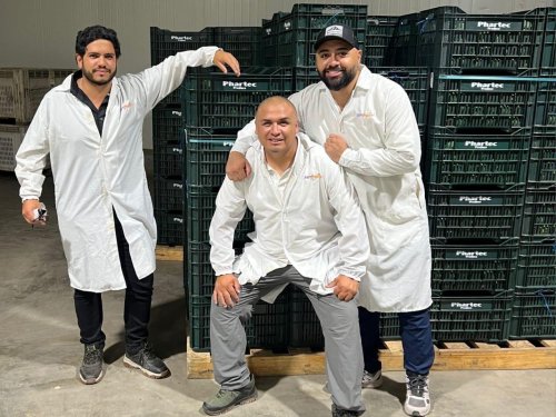 Phartec Produce: La joven exportadora peruana que lidera el mercado europeo de aguacate Hass