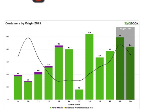 China mantiene estabilidad en volumen, pero el precio sigue por debajo del año pasado pese a fuerte repunte semana