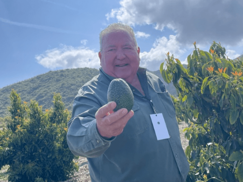 Maureen Lamb: la nueva generación detrás de los históricos campos de aguacate Camlam en California