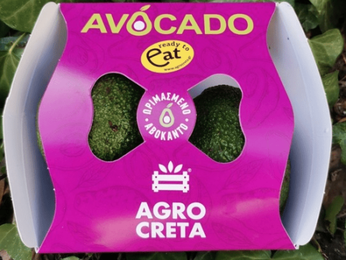 El aguacate cretense cierra su temporada con alza en volumen y prestigio internacional