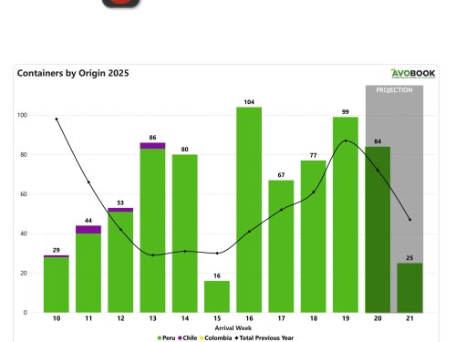 China recibe más fruta peruana y mantiene precios al alza, pero se anticipa fuerte presión en las próximas semanas