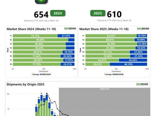 Exportaciones de Brasil siguen en declive: envíos caen un 27% y se reorientan al Mercosur