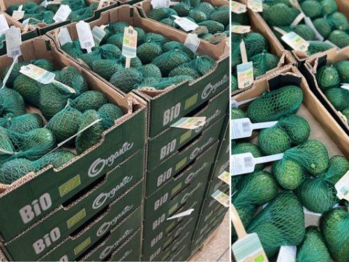 Marruecos cierra una temporada récord de aguacate y se prepara con ambición para la próxima campaña