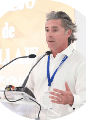 Avobook Premium Report 2025 w20