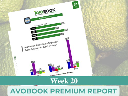 Aguacate en EE.UU.: aumentan los envíos, caen los precios y crece la presencia sudamericana