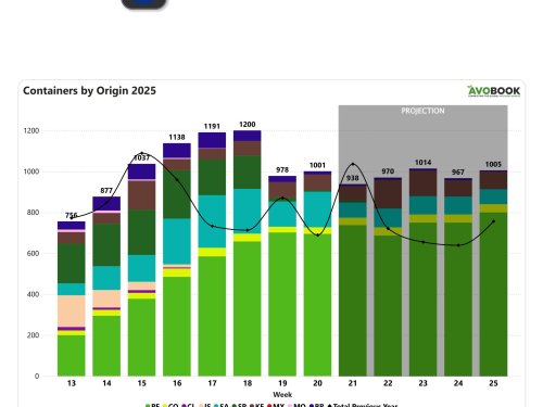 Europa aumenta demanda de aguacate con Perú al frente, mientras los calibres pequeños suben y los grandes caen