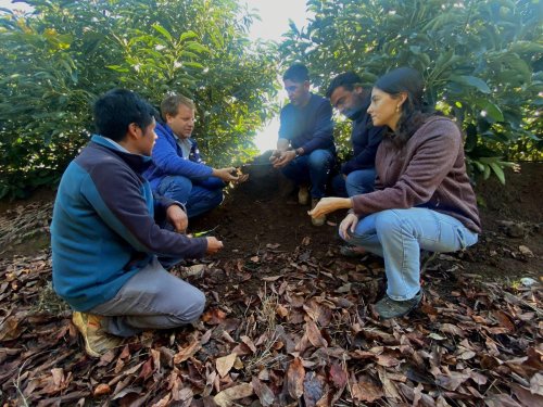 Baika Fruits: volver a las bases productivas para cultivar el futuro