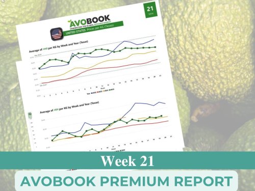 México reduce envíos, mientras Perú y Colombia ganan terreno en el mercado estadounidense