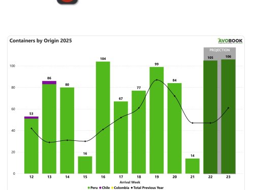 Caen embarques a China en la semana 21, pero se anticipa pronta recuperación del flujo
