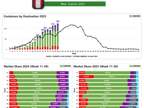 Perú intensifica sus envíos y refuerza su dominio en Europa mientras crece la presión por diversificar mercados