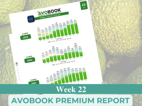 Cae participación de México en el mercado de aguacate en EE. UU. y Perú gana protagonismo