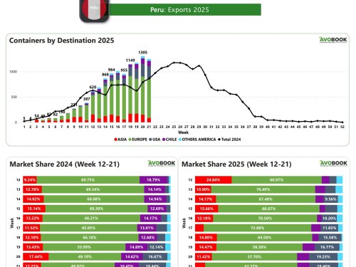 Exportaciones de aguacate peruano caen levemente, pero superan en 50% el volumen de 2024