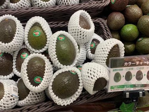 Las importaciones de aguacate en Japón no repuntan en los últimos años.