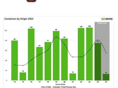 China mantiene estabilidad en volumen de aguacates peruanos mientras precios