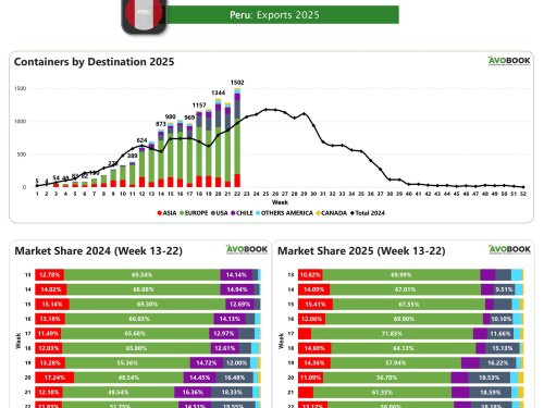 Aguacate peruano crece 17% y gana terreno en todos los mercados clave