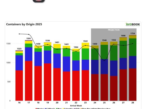 EE.UU.: importaciones de aguacate suben 12% en la semana 23, Perú crece 26% y Colombia duplica sus envíos