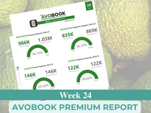 Las importaciones de aguacate en Europa crecen 50% frente al año pasado, con Perú dominando el 83% del mercado