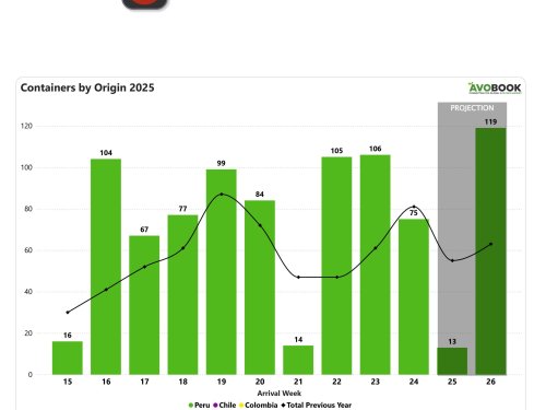 Las importaciones de aguacate en China caen 30% en la semana 24 y se ubican 7% por debajo del nivel de 2024