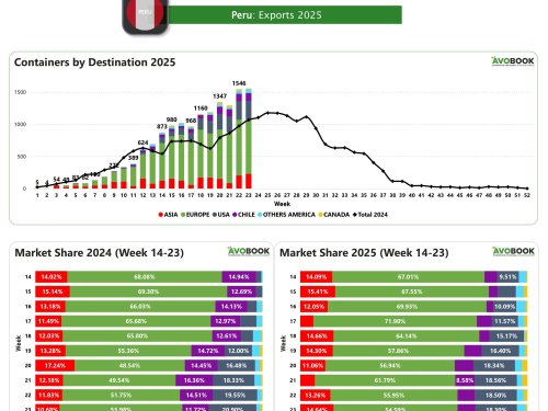 Exportaciones de aguacate desde Perú suben 1% en la semana 23 mientras Europa concentra el 55% de los envíos