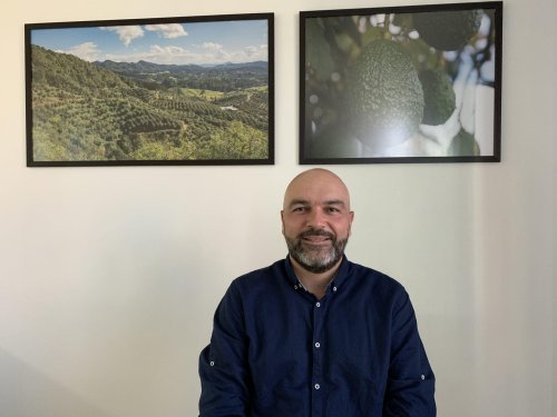 Cultivando un legado global: Cómo Fruty Green y Colombia forjan el futuro del aguacate