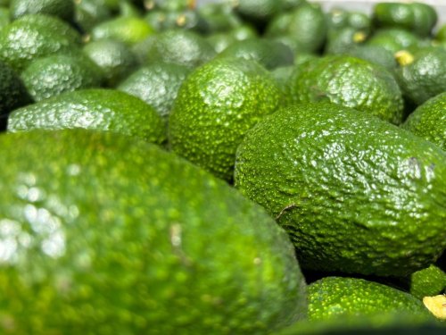 Perú superará a Chile como el mayor exportador de frutas de sudamérica en 2025