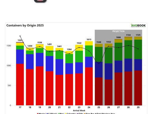 México impulsa alza en embarques de aguacate a EE. UU. mientras caen las llegadas desde Colombia