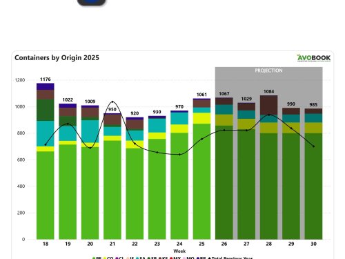 Europa supera los 1.000 contenedores semanales impulsada por Perú, mientras los calibres pequeños lideran la demanda