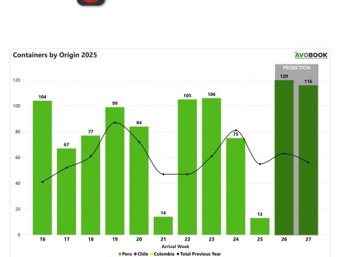 Bajo ingreso de aguacate en China por intermitencia en los embarques peruanos