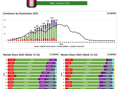 Perú reduce envíos semanales de aguacate, aunque mantiene crecimiento interanual del 26%