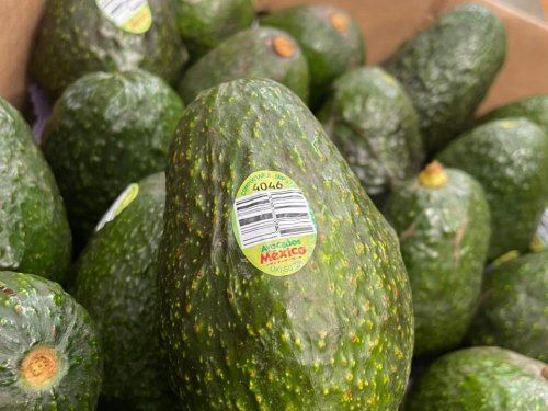 Baika México, pioneros en etiquetas PLU compostables en la industria del aguacate