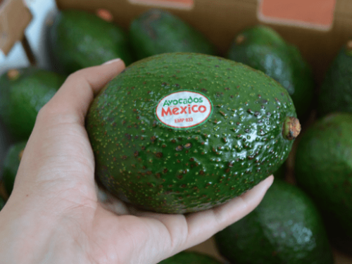 Avocados From México cierra su mayor campaña con influencers en Canadá