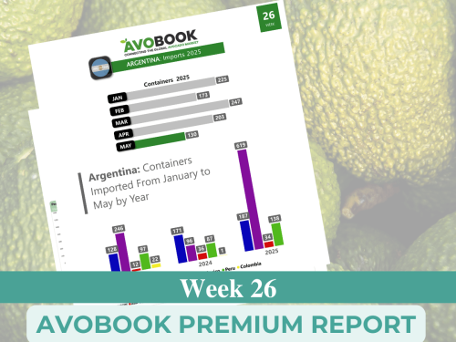 México lidera el mercado de aguacate en EE. UU.; Perú gana participación y Colombia retrocede