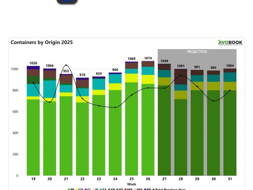 Europa registra alza interanual del 30% en volumen de aguacate, mientras Perú domina el abastecimiento