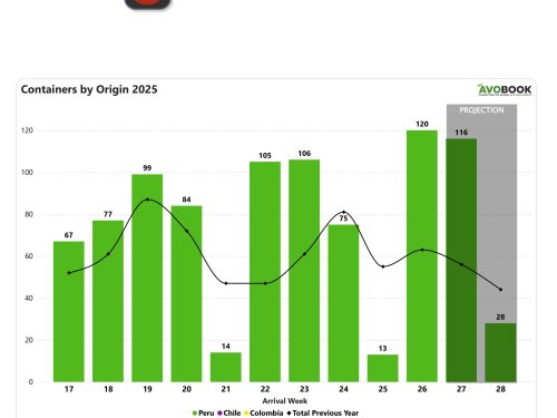China incrementa recepción de aguacate y mejora precios en comparación con 2024