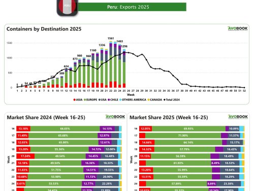 Exportaciones de aguacate peruano caen 11% en la semana 25, pero se mantienen por encima del 2024