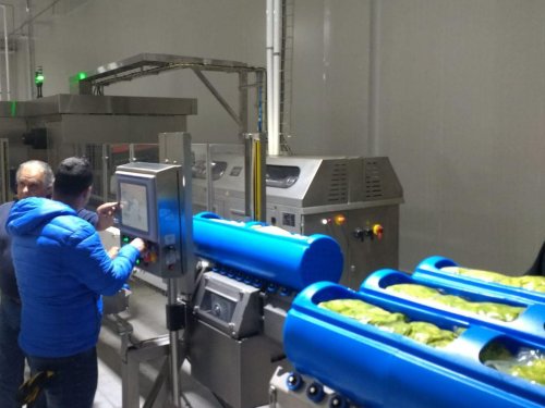 Cómo el aguacate procesado conquista Asia, Europa y América