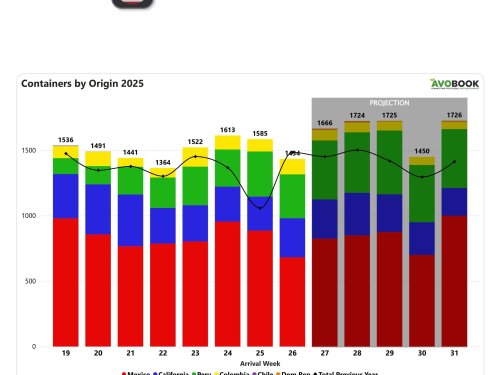 México cede terreno en el mercado de aguacates de EE. UU. mientras aumenta la oferta de otros orígenes