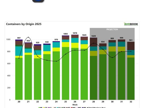 Perú lidera el mercado europeo de aguacates mientras calibres grandes enfrentan presión de precios