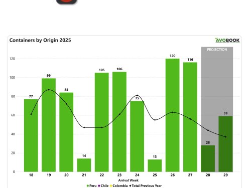 China duplica importaciones de aguacate en un año, pero precios caen 18%