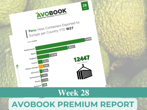México retoma liderazgo en exportación de aguacates a EE.UU. mientras se estrechan los precios entre calibres grandes y medianos