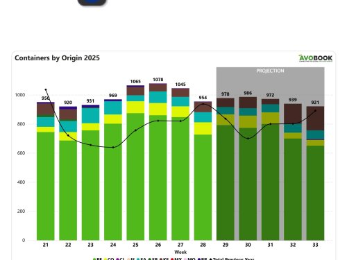 Caen los envíos de aguacate a Europa y se revaloriza la fruta de calibres medianos por presión en los calibres grandes