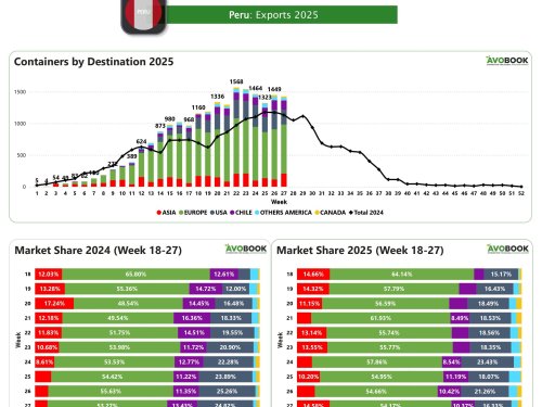 Perú mantiene liderazgo en Europa con alto volumen de envíos, pese a leve baja semanal