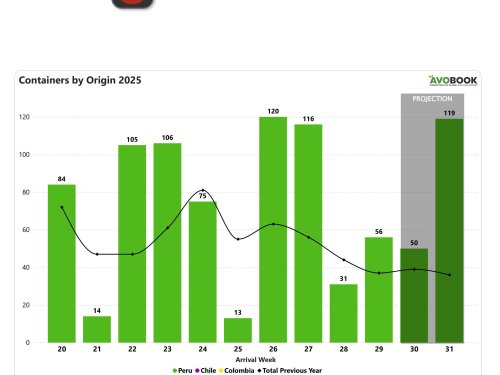 China recibe más aguacate de Perú, aunque el mercado sigue con envíos inestables