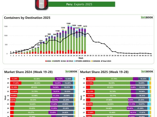 Perú exporta 1.415 contenedores con leve baja semanal, pero mantiene fuerte liderazgo en Europa